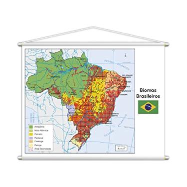 Imagem de Banner Mapa Escolar Biomas Brasileiros Geografia 100x80cm