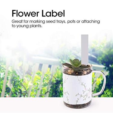 Imagem de 100 Peças Etiquetas de Sementes de Plantas de Plástico Marcador de Pote Berçário Jardim Estaca Etiquetas Brancas (Branco)