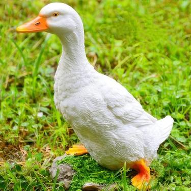 Imagem de Euiroet Estátuas de pato de fazenda real, decoração engraçada de cerca de pato, decoração de pato de resina, estátua de animal real ao ar livre, escultura de pato, perfeita para escadas de jardim