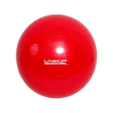 Imagem de Bola Suíça Pilates Yoga Ginastica 45 Cm + Dvd