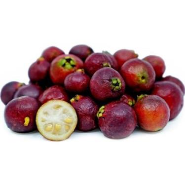 Imagem de Muda Araça Vermelho - Vaso&Flor