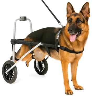 Imagem de Cadeira de 2 Rodas Para Cachorro Tam XG Regulável Pata Traseira Paraplegia Reabilitação Paralisia Idoso Pet Best Soluções