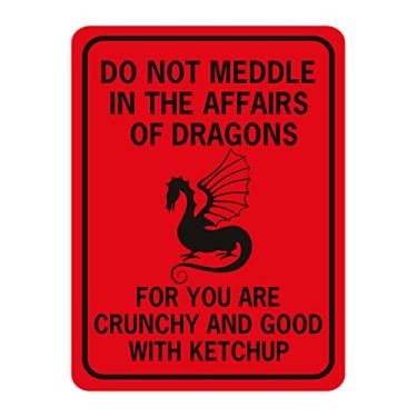 Imagem de Placa Do Not Meddle in the Affairs of Dragons, placa engraçada de metal sarcástico decoração de parede homem caverna bar quintal parede preta 20 x 30 cm