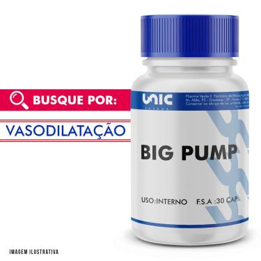 Imagem de Big Pump - Composto Auxiliar Vasodilatador 30 Doses