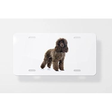 Imagem de Capa para placa de carro Poodle 5 – Capa para placa de carro – Capa para placa de carro 15 x 30 cm
