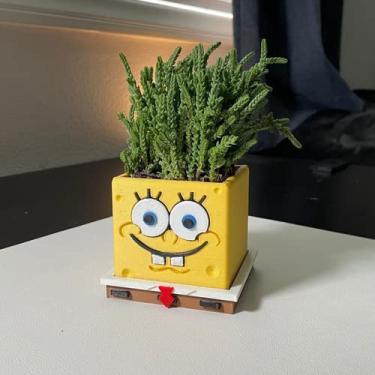 Imagem de Vaso para plantas e suculentas Bob Esponja
