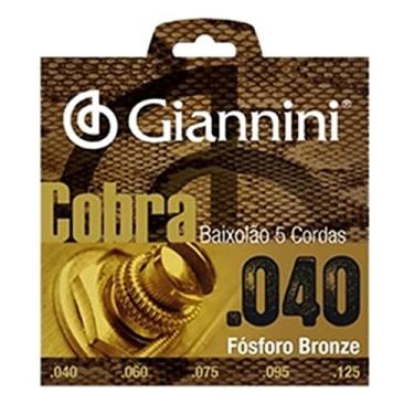 Imagem de Jogo De Encordoamento Para Baixolão 5 Cordas Giannini 040