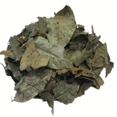 Imagem de Guaçatonga 1Kg (Erva seca) - Top Life