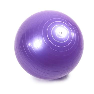 Imagem de Bola de Yoga P 55cm Roxa Trail