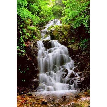 Imagem de Laeacco 3 x 5 pés Vinil Crianças Criança e Bebê Fotografia Cenário Casamento Amante de Casamento Dia dos Namorados 1 x 1,5 m Visão Natural Rio e Pequena Cachoeira Cenário Fundo Estúdio Adereços