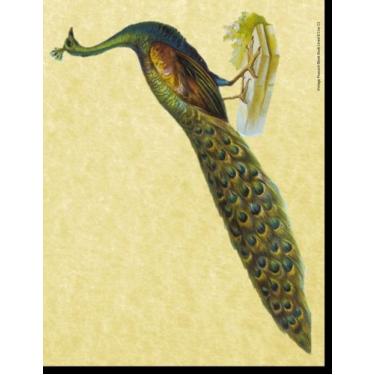 Imagem de Livro vintage em branco com estampa de pavão de 21,5 x 28 cm, 100 páginas pautadas em branco, adequado como diário, caderno ou diário com uma ilustração vintage de um pavão na capa