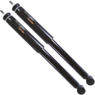 Imagem de Par Amortecedor Traseiro Turbogás Honda Civic 11 a 16 Cofap