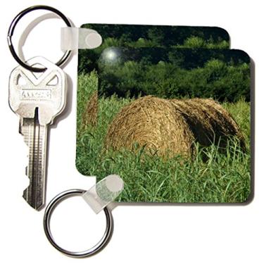 Imagem de 3dRose Um fardo de feno em um pasto na Geórgia - chaveiros, 5,7 x 11,4 cm, conjunto de 2 (kc_172265_1)