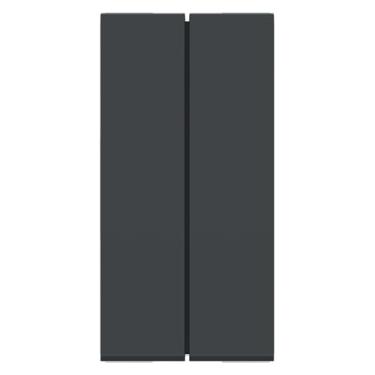 Imagem de Modulo Duplo Interruptor Simples 10Ax 250V 1M Grafite S70100194, Schneider Electric