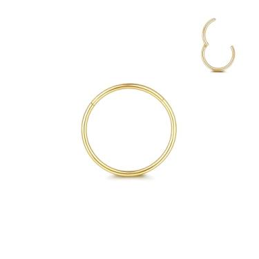 Imagem de Veroyal Anéis de nariz de aço cirúrgico 316L 20G 18G 16G argolas de nariz clicker septo segmento articulado cartilagem hélice tragus concha daith torre para mulheres homens (ouro, 18G (1,0 mm) * 10 mm