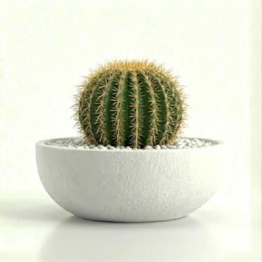 Imagem de Genérico, Plástico, Vaso Quadrado, Branco, 11x12x7 cm, Liso/Simples, Vaso de Plantas, Vaso de Chão, Elegância para seu Lar