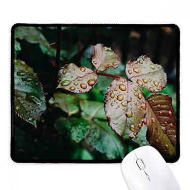 Imagem de Tapete de borracha para jogos Dewdrop Leaf Plant Nature Picture Mousepad com borda costurada