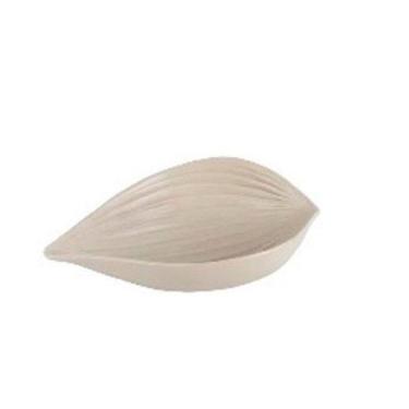 Imagem de Objeto Decoração Shell Creme 25X6X15Cm Cerâmica