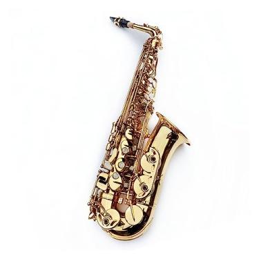 Imagem de Alto Eb Tune Saxofone Latão Dourado Laca Sopro Instrumento de Música E-Flat Sax com Estojo e Acessórios