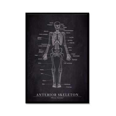 Imagem de Arte de anatomia humana, pintura em tela médica, vintage, esqueleto muscular, educação, pôster, impressão de imagem de parede, decoração de clínica hospitalar (SKU3,20,3 x 30,5 cm = (20 x 30 cm