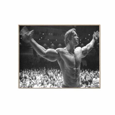Imagem de Pôster de arte de parede com imagem Arnold Schwarzenegger Anime 30x40cm
