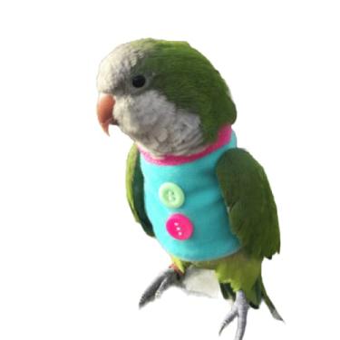 Imagem de Barn Eleven Suprimentos para pássaros de papagaio, roupas de vôo leves, adequadas para todas as estações quentes e confortáveis para pássaros pequenos, médios e grandes, papagaio, papagaio, minarara, médio, azul)