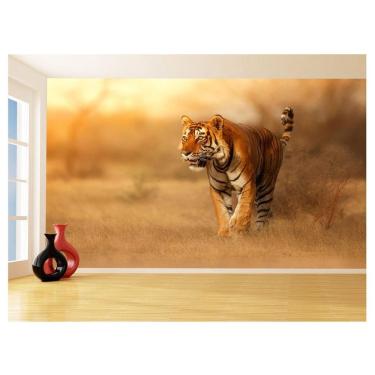 Imagem de Papel De Parede Animais Tigre Campo Sol Andar 3,5M Anm562