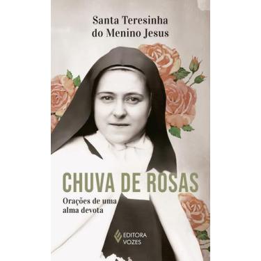 Imagem de Livro - Chuva de rosas - Sem orelhas