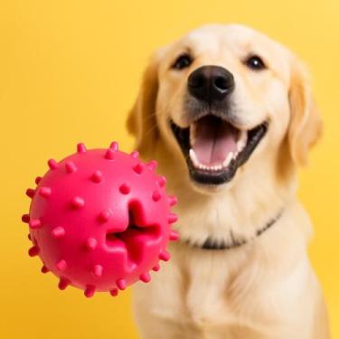 Imagem de Brinquedo Bola Adestradog para Cães - BRINQPET - no-brand