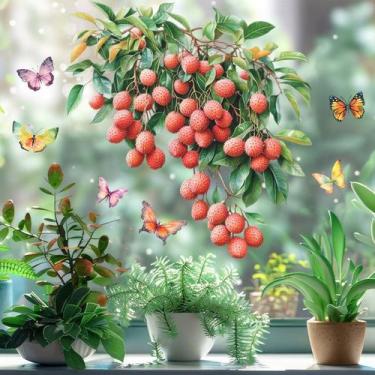 Imagem de Adesivos de parede Lychee and Butterfly Fresh Frutas 30x30cm PVC - yiw