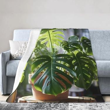 Imagem de Cobertor grande super macio, confortável e quente para cama, sofá e viagens