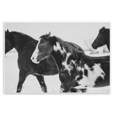 Imagem de Stupell Industries Design de arte de parede de cavalos de inverno preto e branco por Amy Carroll, 25 x 38 cm