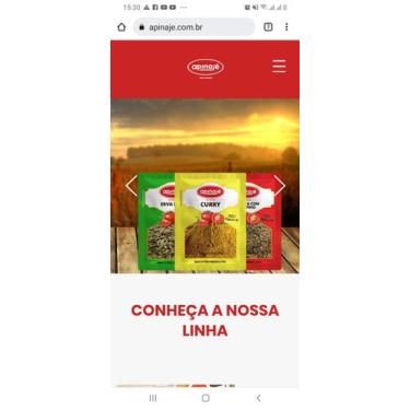 Imagem de Cúrcuma 100% Natural 10g - Apinaje