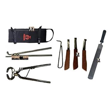 Imagem de Ferrador Casqueamento Cavalo Completo Ferrageamento Frete