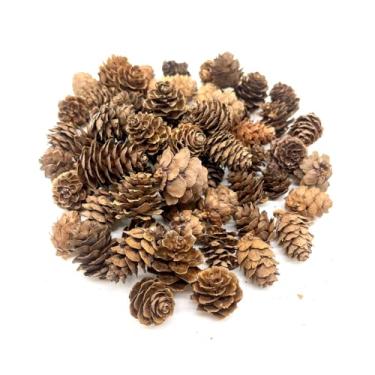 Imagem de Aliotech 50 peças de mini pinhas artificiais pequenas pinhas ornamentos para artesanato faça você mesmo, decoração de casa, outono, casamento, vaso, enchimento, guirlanda de Natal, artesanato (1,5 a