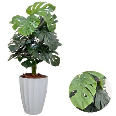 Imagem de Costela de Adão Artificial Com Vaso Facetado Moderno Casa - PlantaImpo
