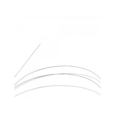 Imagem de Corda Violino 2ª Lá Média Giannini Dz /12