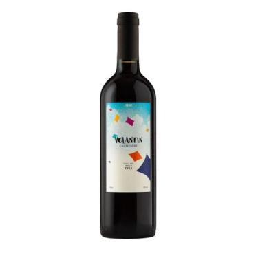 Imagem de Vinho Volantin Carménère 750ml