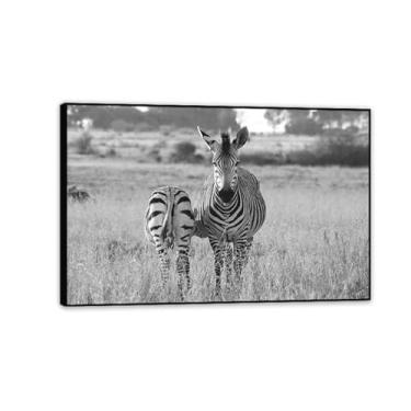 Imagem de Imagens de animais em preto e branco para decoração de parede zebra preta e branca mãe de Hartman impressão de cavalo pintura de arte de parede zebra decoração de parede para sala de estar 75 x 50 cm