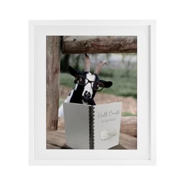 Imagem de Stupell Industries Health Benefits of Goat Cheese Birch Impressão emoldurada sob vidro, design de Lori Deiter, 53 x 43 cm