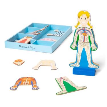 Imagem de Melissa & Doug Magnetic Human Body Anatomy Play Set With 24 Magnetic Pieces and Storage Tray