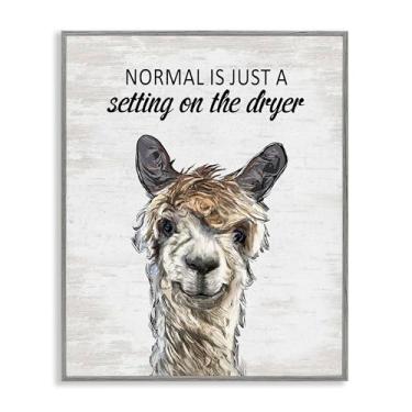 Imagem de Stupell Industries Normal is Just Dyer Setting Gray Framed Giclee Art, design by Lettered and Lined, 24 x 30
