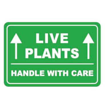 Imagem de 5 x 7,6 cm, 200 peças, adesivos de plantas vivas verdes para envio