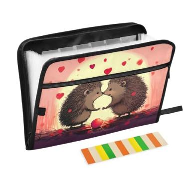 Imagem de Wassud Happy Hedgehogs Organizador de arquivos sanfonados, 13 bolsos, pastas expansíveis com abas e adesivos, tamanho carta A4, papel para recibos, documentos, pastas organizadoras para viagens de