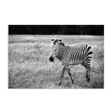 Imagem de SDYJ6GSW Imagens de animais em preto e branco para decoração de parede Zebra na pastagem, imagem de vida selvagem, impressão de imagem de cavalo em tela, pintura de parede zebra, decoração de parede