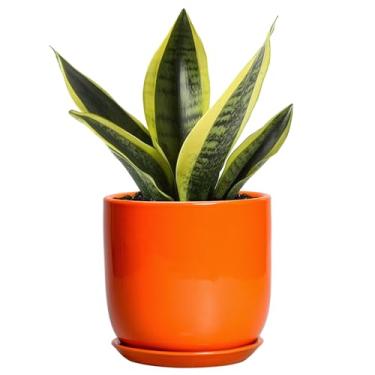 Imagem de SUNPOTFOR Vaso de plantas de 12 cm – Vaso de cerâmica para plantas de interior de cactos suculentos, vaso de flores redondo moderno com orifício de drenagem e pires, presentes para amantes de plantas