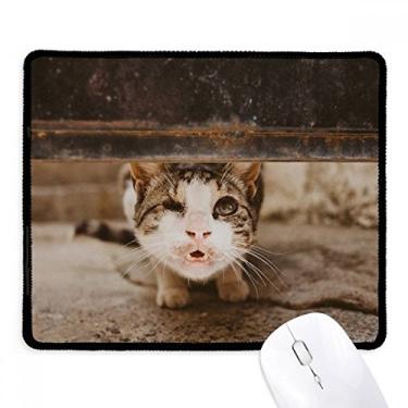 Imagem de Mousepad com foto de gato engraçada de animal, borda costurada, tapete de borracha para jogos