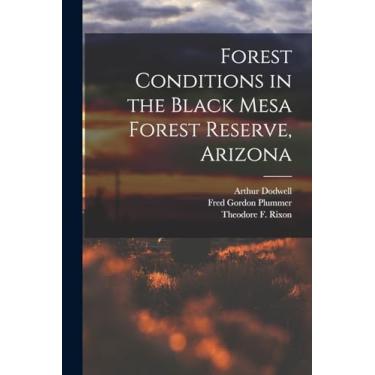Imagem de Forest Conditions in the Black Mesa Forest Reserve, Arizona