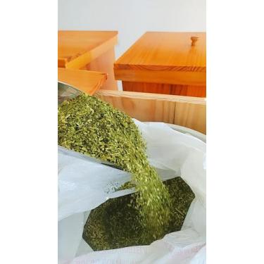 Imagem de Erva mate menta forte - 500g - ouropy - granel - terere gelado