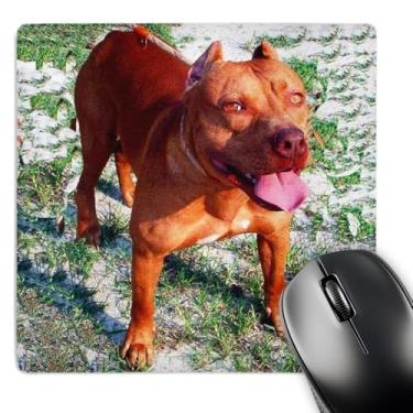Imagem de 3dRose Mouse pad americano Pit Bull LLC 20,3 x 20,3 x 0,63 cm (mp_1045_1)
